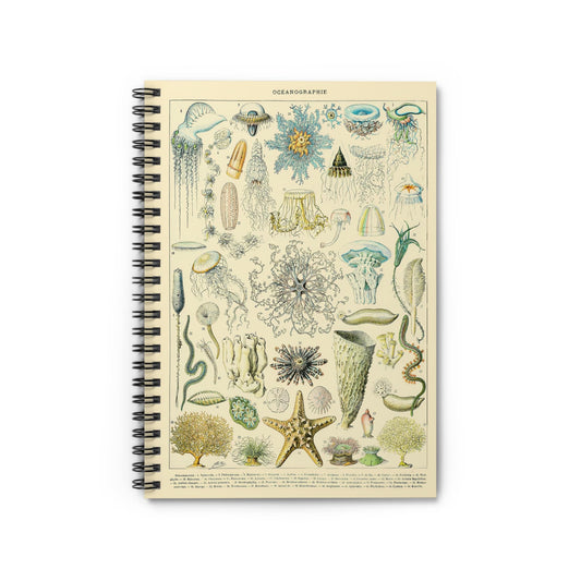 Jelly Fish Notebook with Sea Life Painting cover, perfect for journaling and planning, featuring a detailed jellyfish painting.