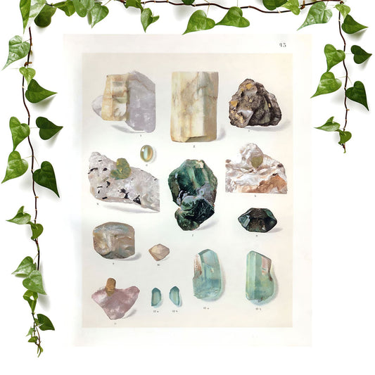 Light Green Gemstone art prints featuring a rock collection, vintage wall art room decor
