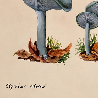 Little Blue Mushrooms Art Print Close Up Detail Shot