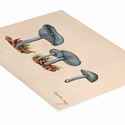 Little Blue Mushrooms Art Print Laying Flat on a White Background