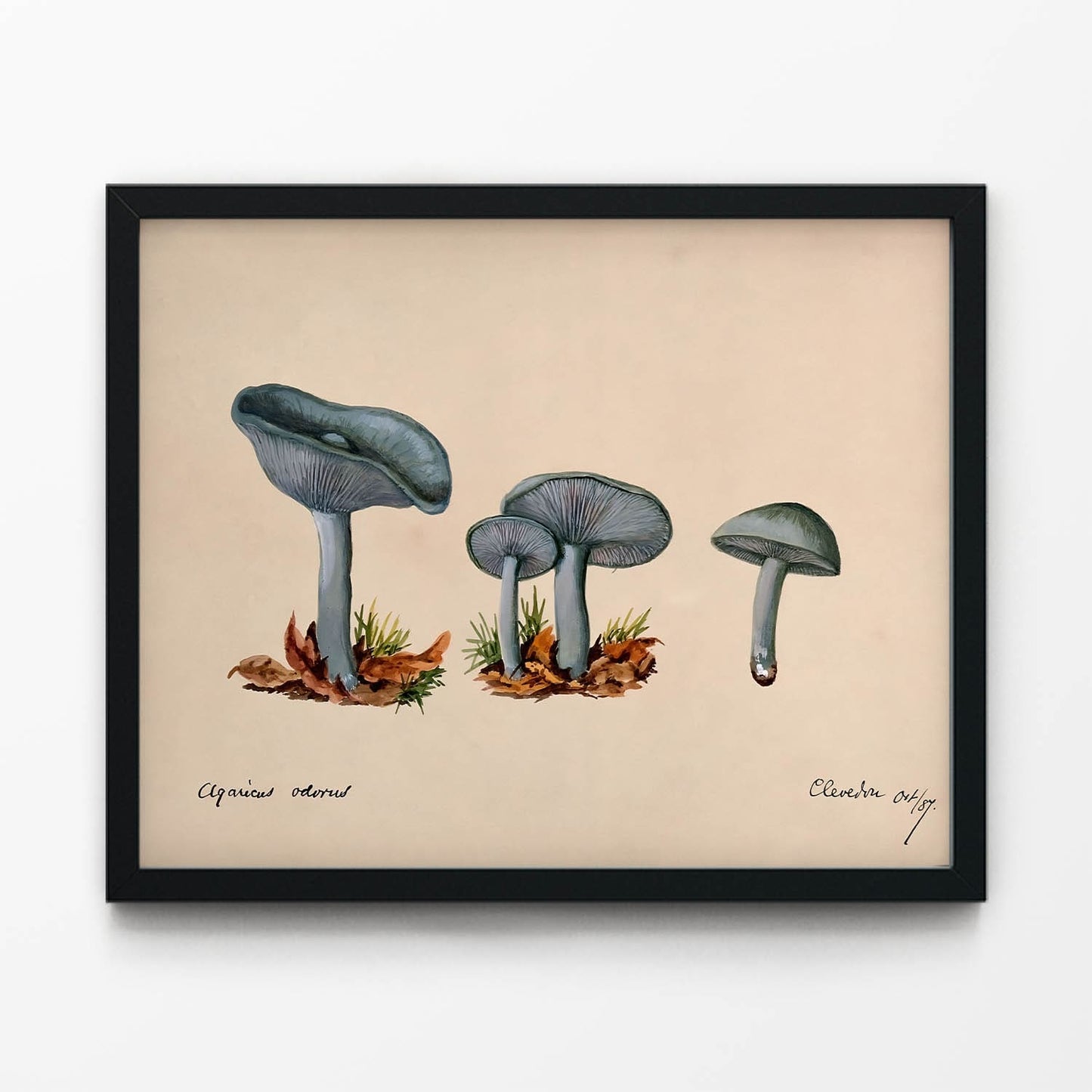 Little Blue Mushrooms Art Print in Black Picture Frame