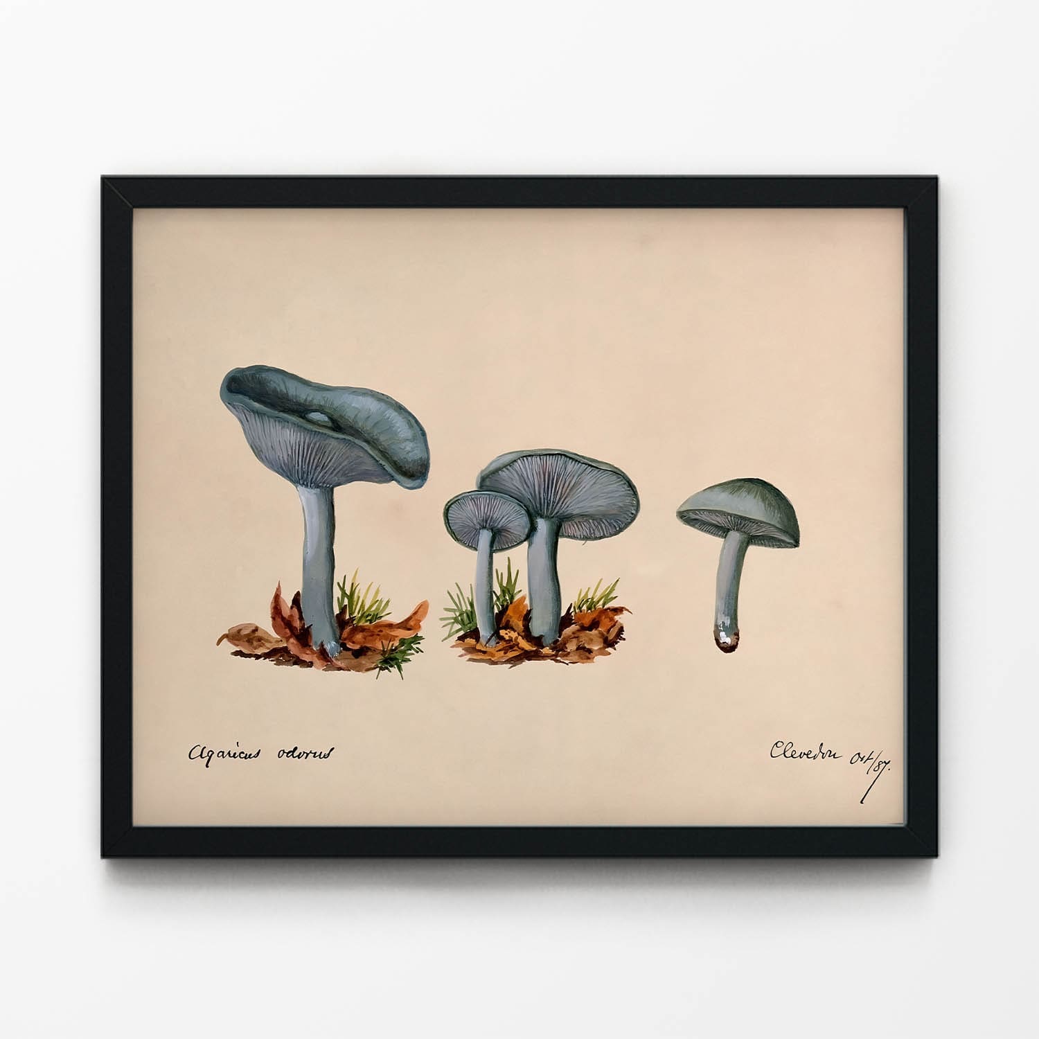 Little Blue Mushrooms Art Print in Black Picture Frame