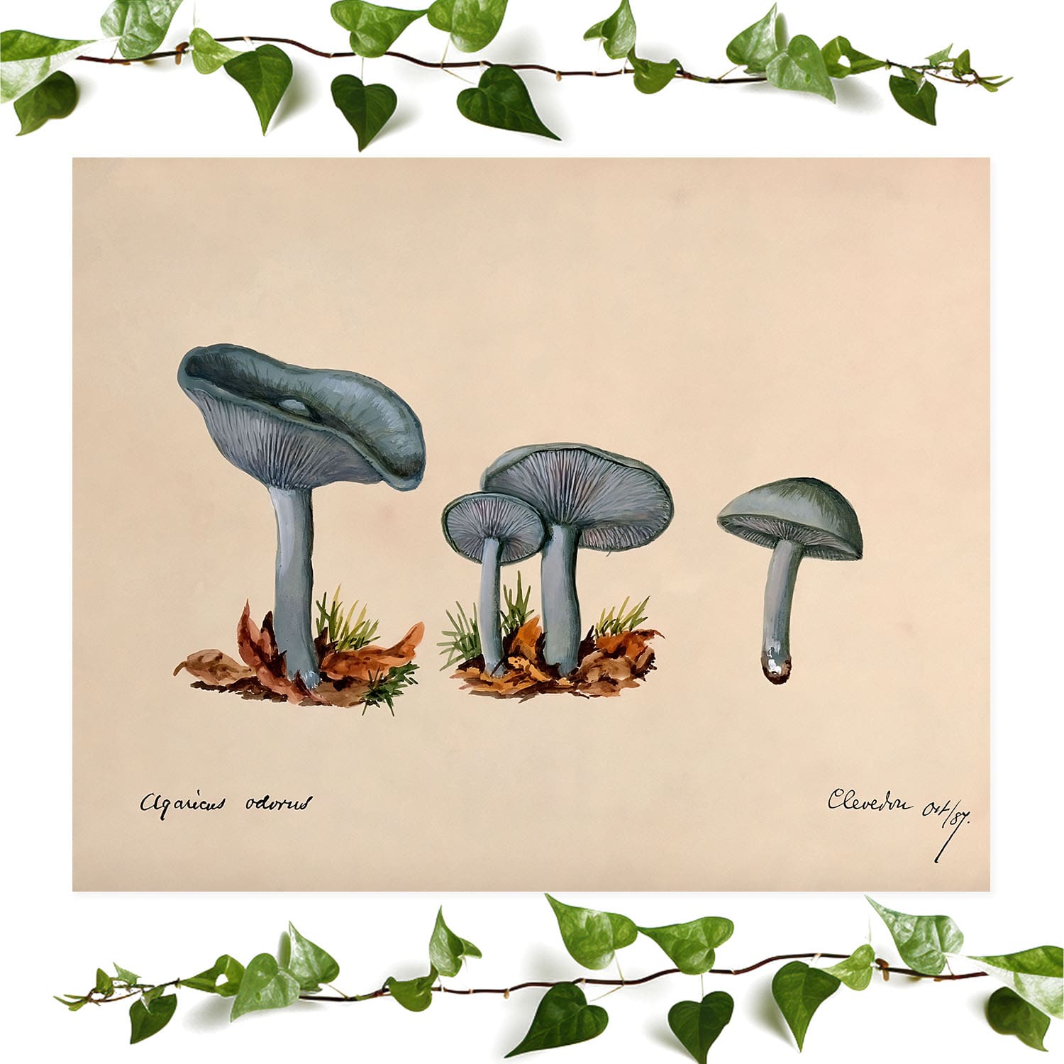 Little Blue Mushrooms art prints featuring a mushroom painting, vintage wall art room decor