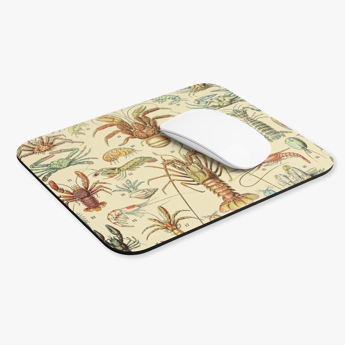 Lobsters and Crabs Mouse Pad | Science Theme Desk & Office Decor