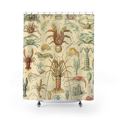 Lobsters and Crabs Shower Curtain with science design, educational bathroom decor featuring detailed marine life illustrations.