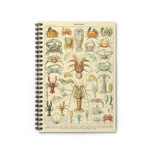 Lobsters and Crabs Notebook with Science cover, ideal for journaling and planning, showcasing scientific illustrations of lobsters and crabs.