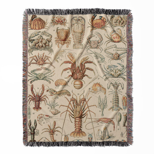 Lobsters and Crabs woven throw blanket, made with 100% cotton, providing a soft and cozy texture with a science theme for home decor.