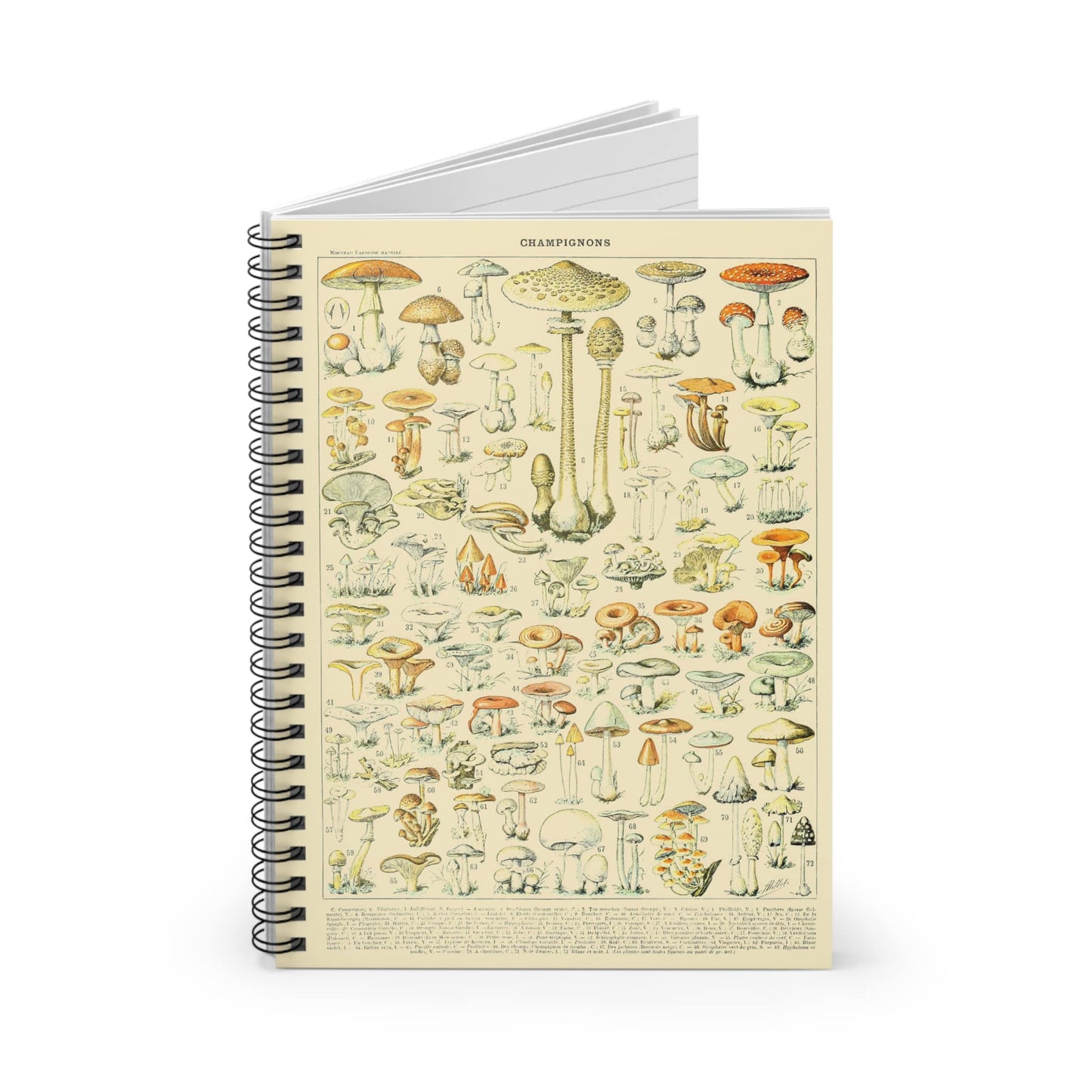 Mushroom Caps Spiral Notebook Standing up on White Desk