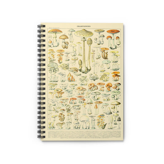 Mushroom Caps Notebook with cool mushrooms cover, perfect for journaling and planning, featuring unique mushroom cap illustrations.