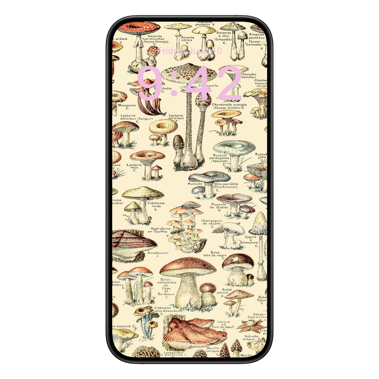 Mushroom Phone Wallpaper Pink Text