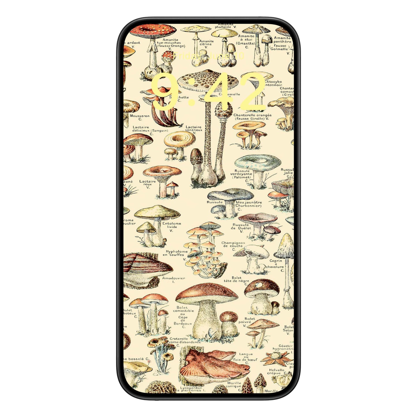 Mushroom Phone Wallpaper Yellow Text