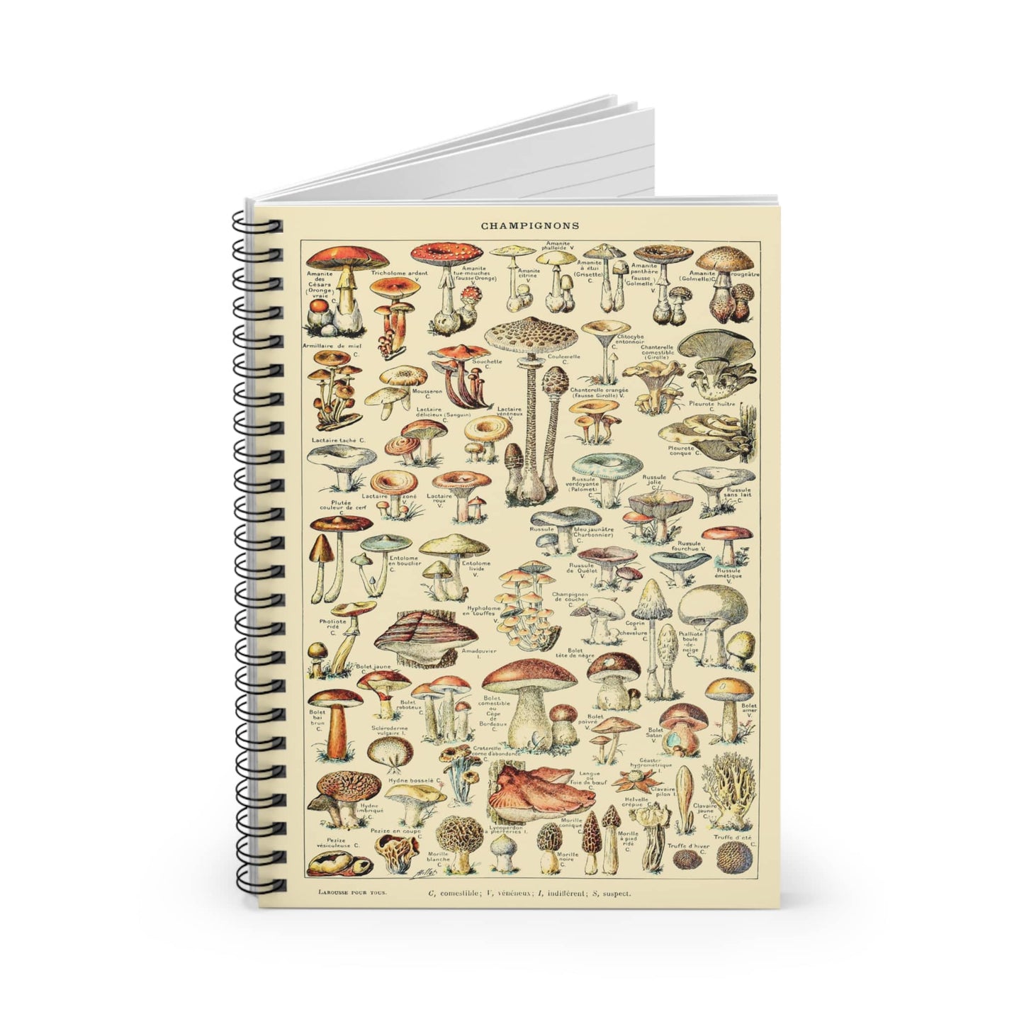 Mushroom Spiral Notebook Standing up on White Desk