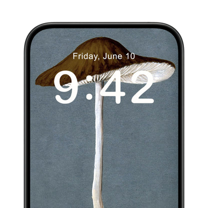 Mushroom Phone Wallpaper Close Up