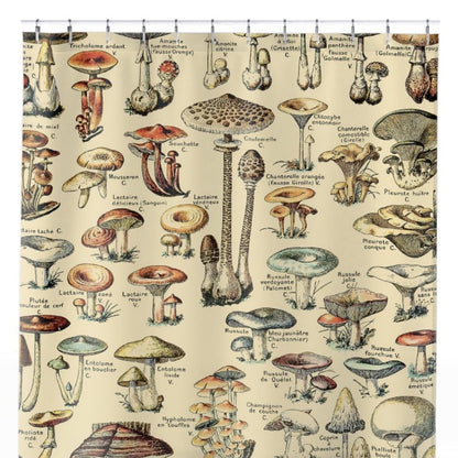 Mushroom Shower Curtain Close Up, Botanical Shower Curtains