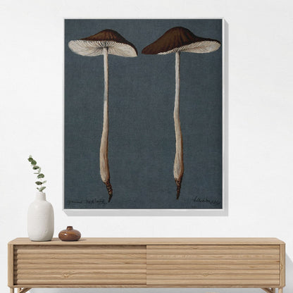 Mushroom Woven Blanket Hanging on a Wall as Framed Wall Art