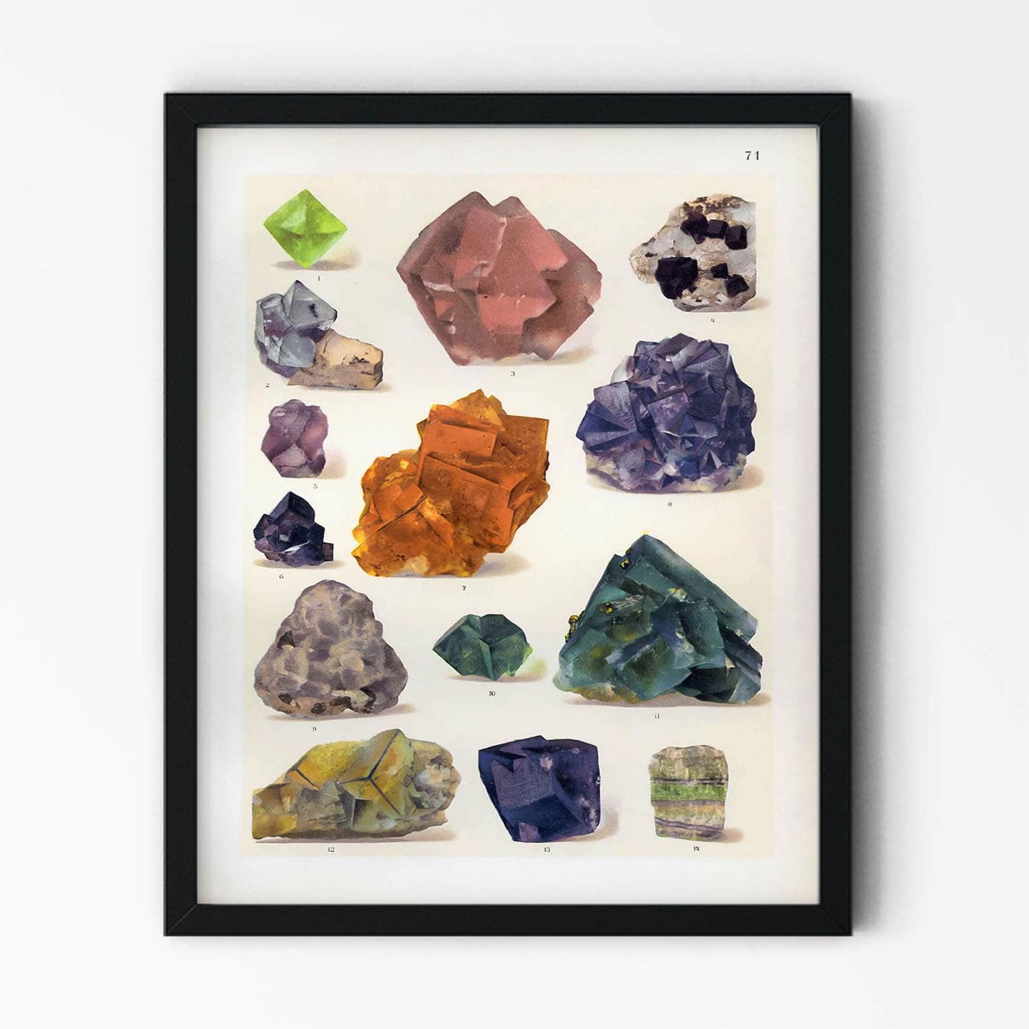 Crystals and Rough Gems Drawing in Black Picture Frame