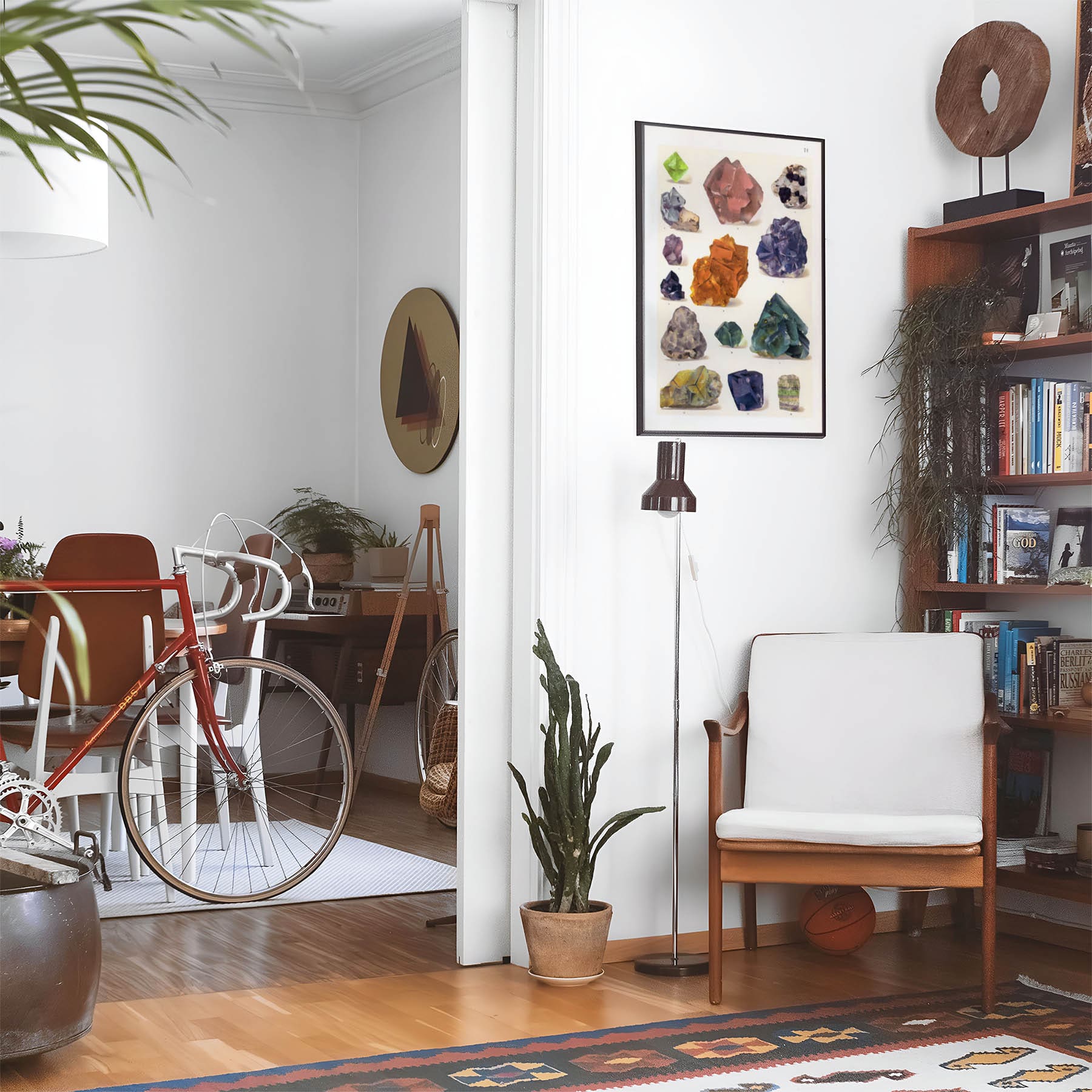 Eclectic living room with a road bike, bookshelf and house plants that features framed artwork of a Crystals and Rough Gems above a chair and lamp