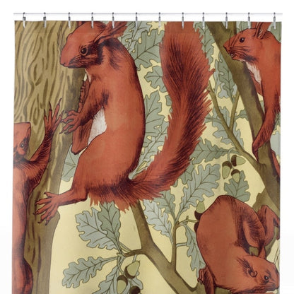 Red Squirrels Shower Curtain Close Up, Animal Shower Curtains