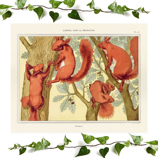 Red Squirrels art prints featuring a nauture decor, vintage wall art room decor