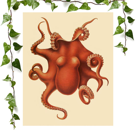 Sea Creature art print orange-red octopus, vintage wall art room decor