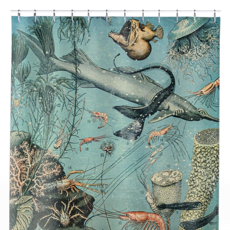 Sea Life Shower Curtain Close Up, Science Shower Curtains