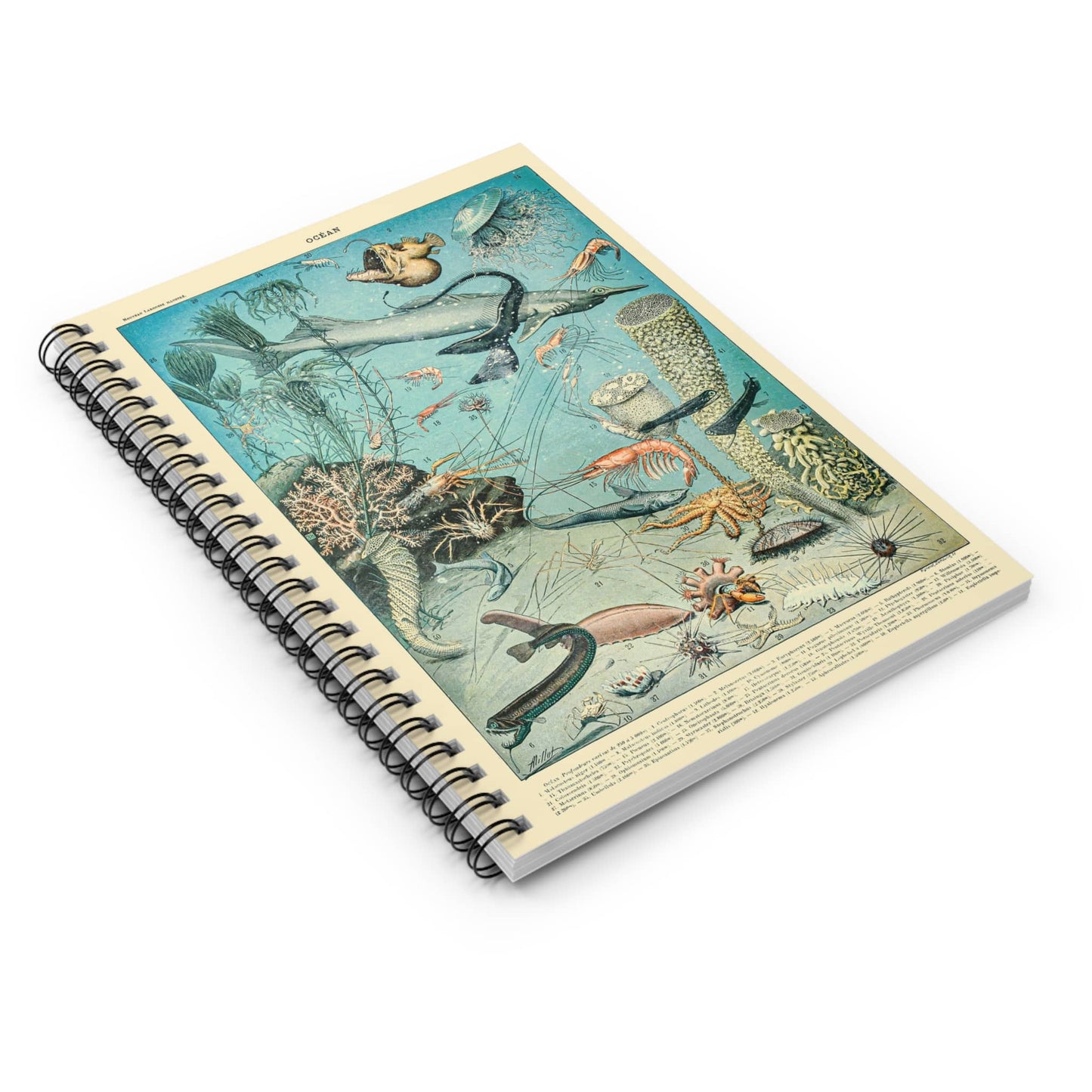 Sea Life Spiral Notebook Laying Flat on White Surface