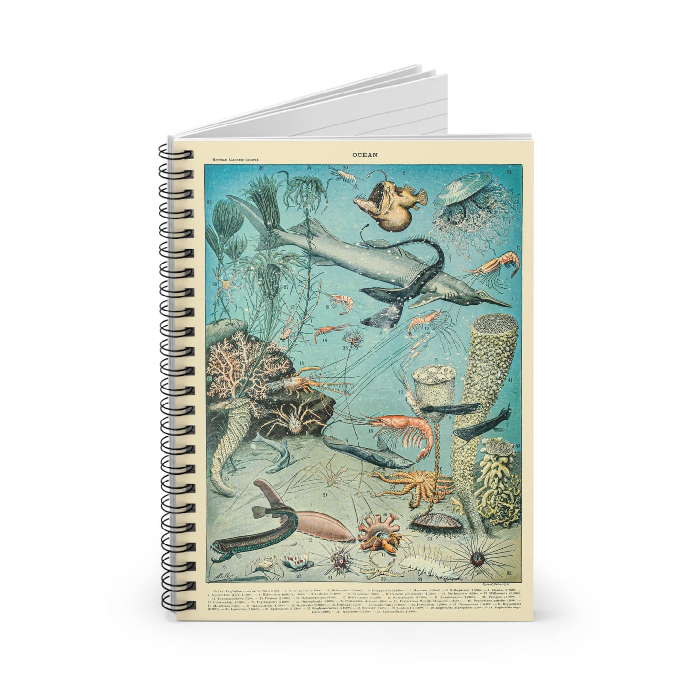 Sea Life Spiral Notebook Standing up on White Desk
