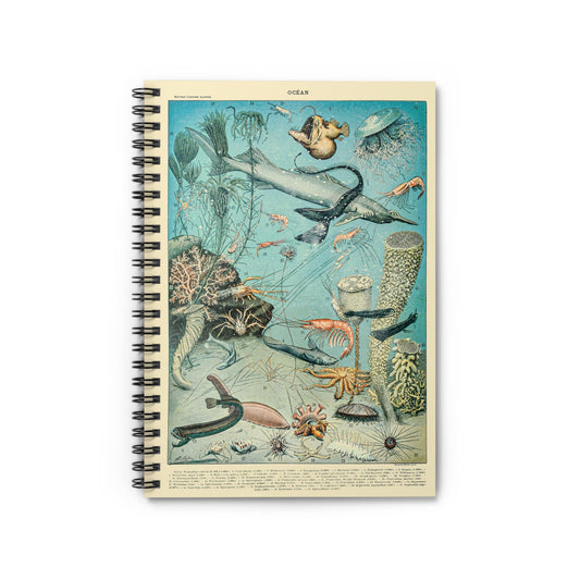 Sea Life Notebook with Shrimp and Sharks cover, great for journaling and planning, highlighting sea life including shrimp and sharks.