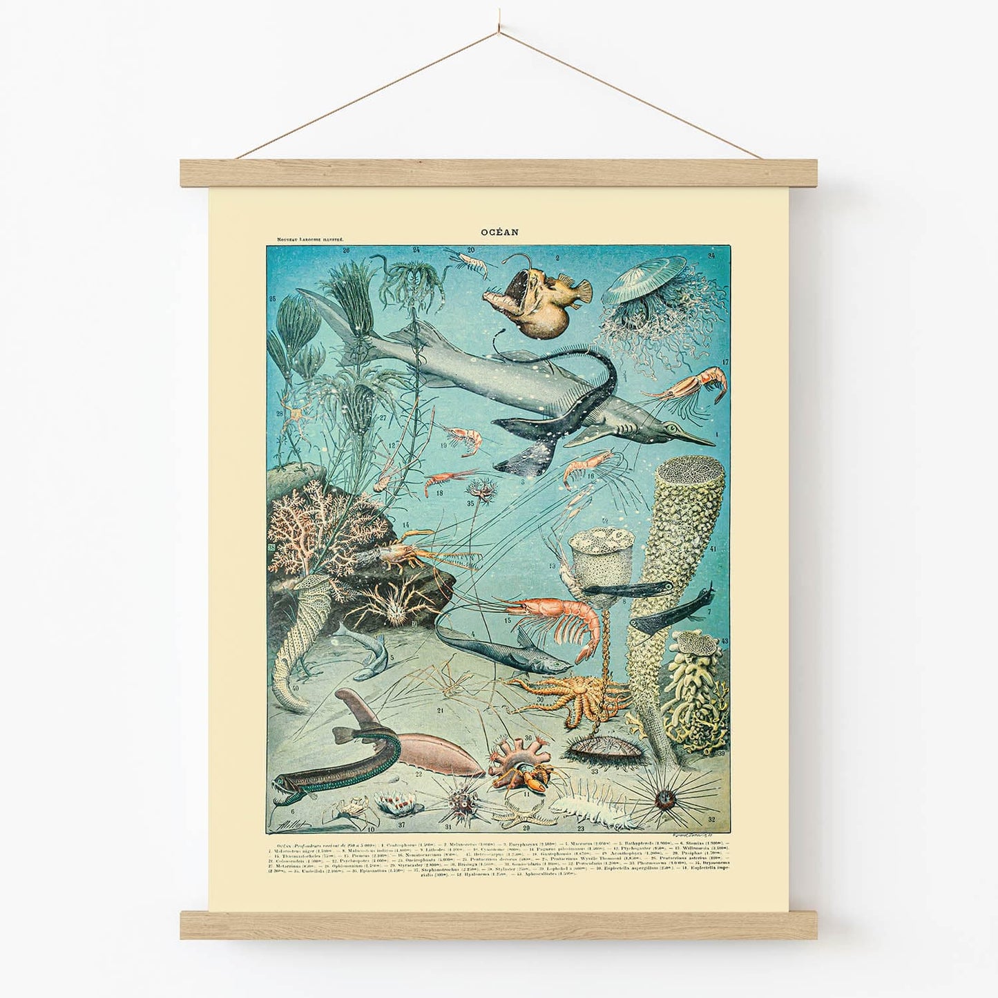 Shrimp and Sharks Art Print in Wood Hanger Frame on Wall