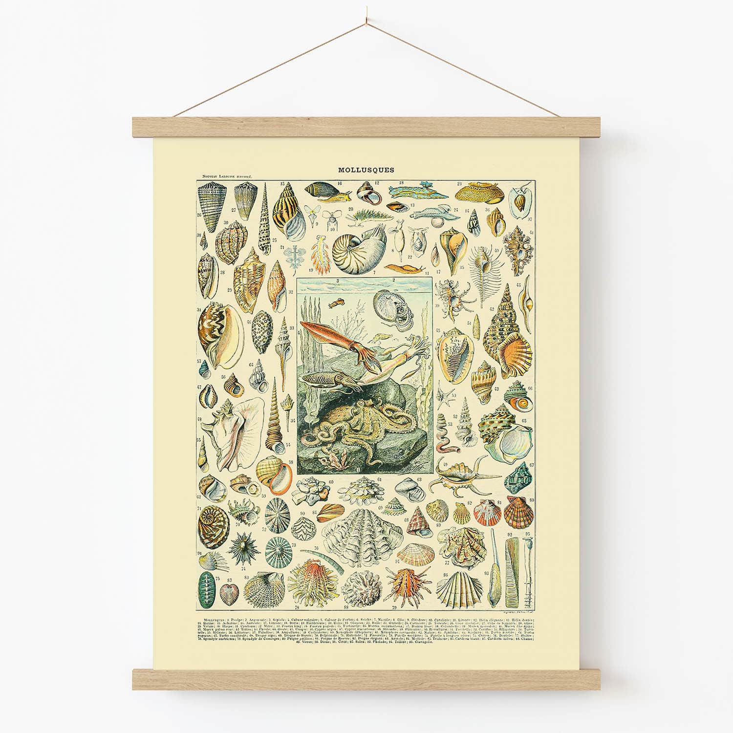 Ocean Life and Shells Art Print in Wood Hanger Frame on Wall
