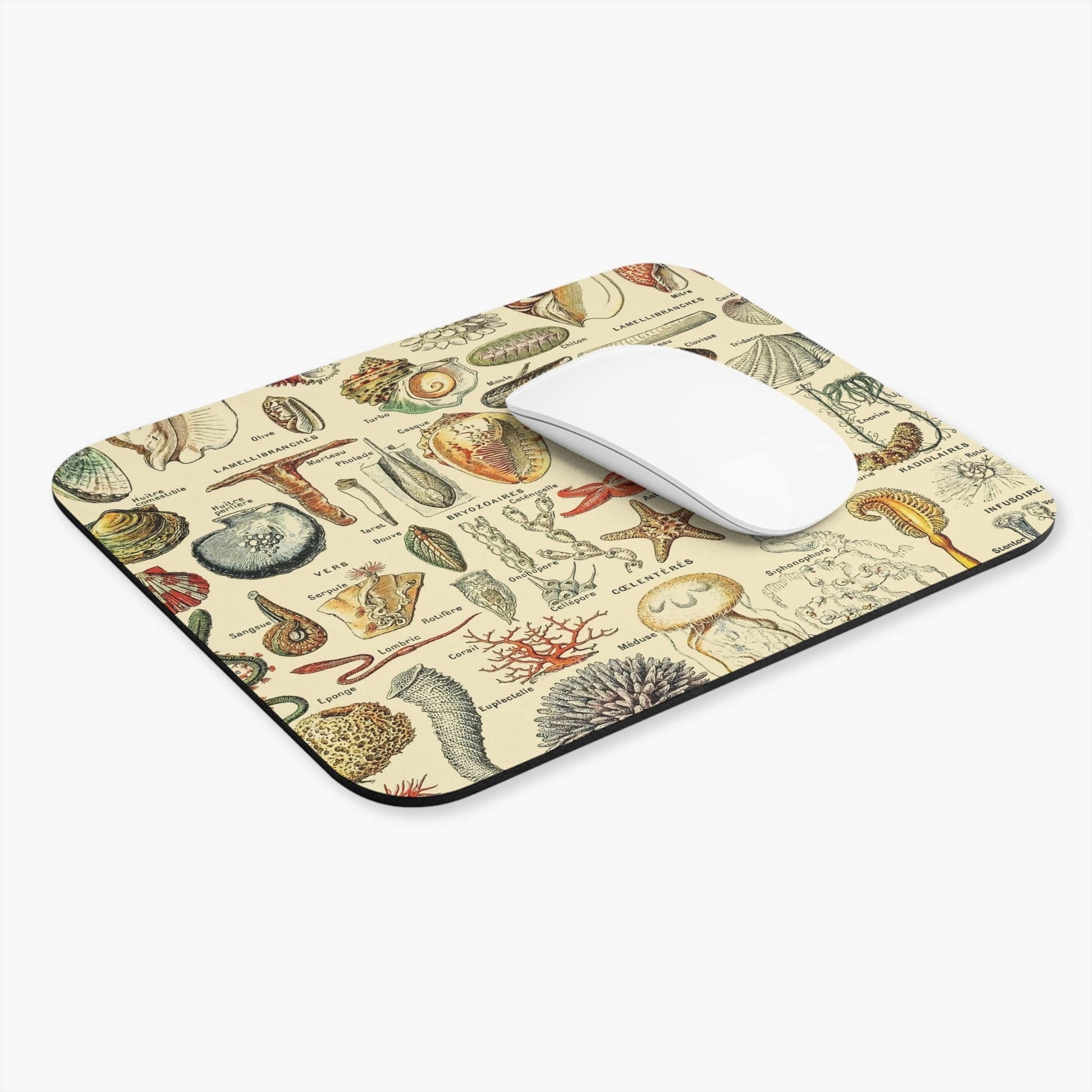 Seashells Computer Desk Mouse Pad With White Mouse