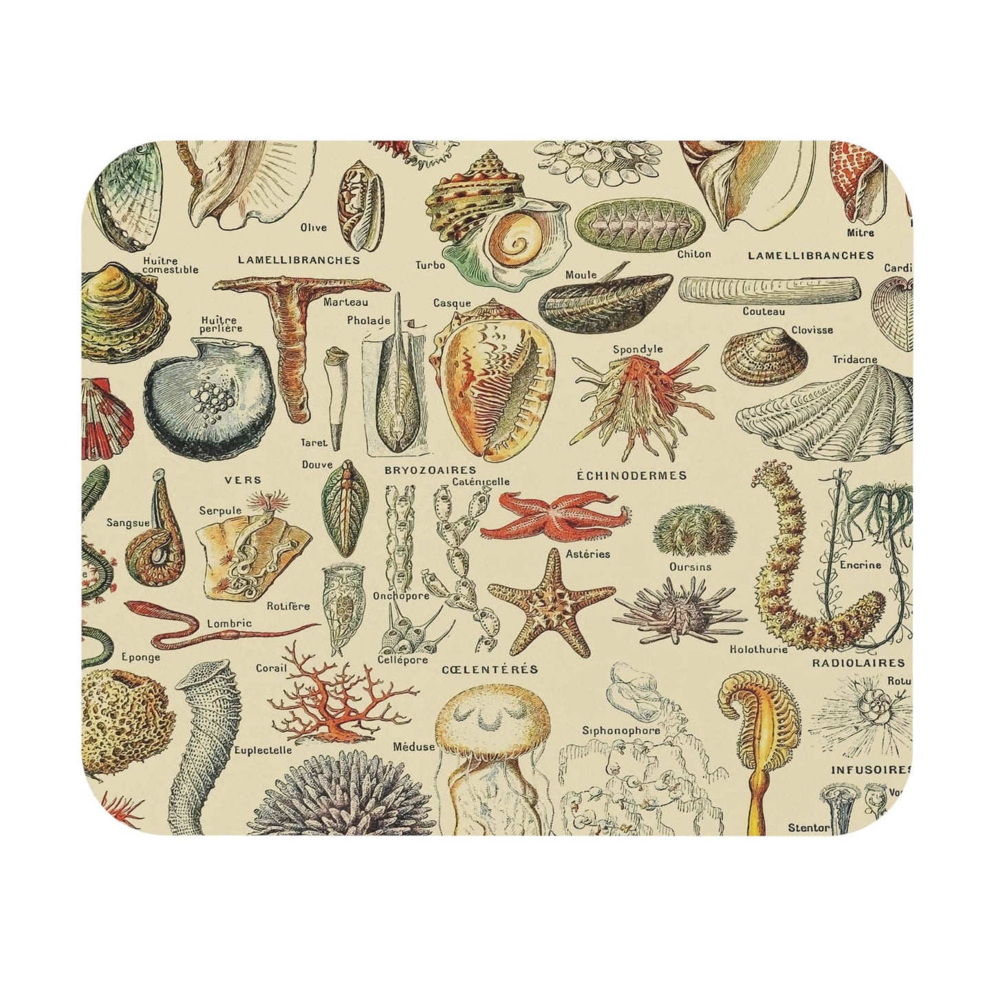 Seashells Mouse Pad featuring an ocean and beach theme, enhancing desk and office decor.