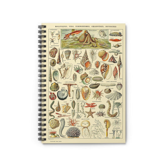 Seashells Notebook with Ocean and Beach cover, perfect for journaling and planning, featuring ocean and beach themes.