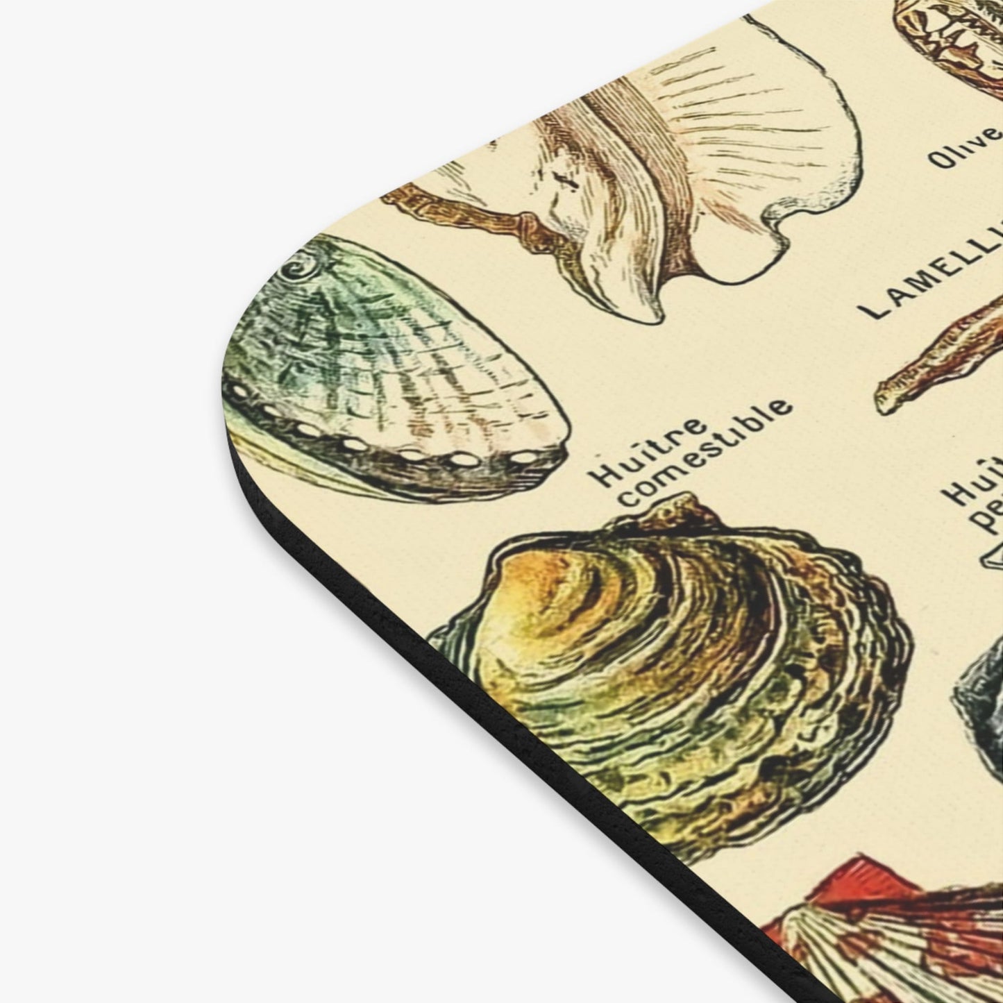 Seashells Vintage Mouse Pad Design Close Up
