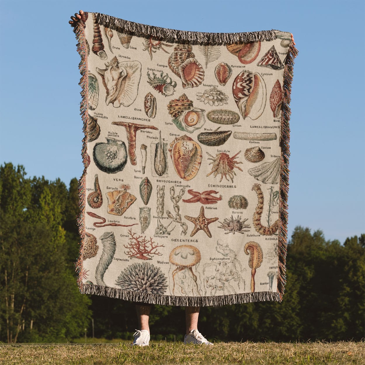 Seashells Woven Blanket Held Up Outside