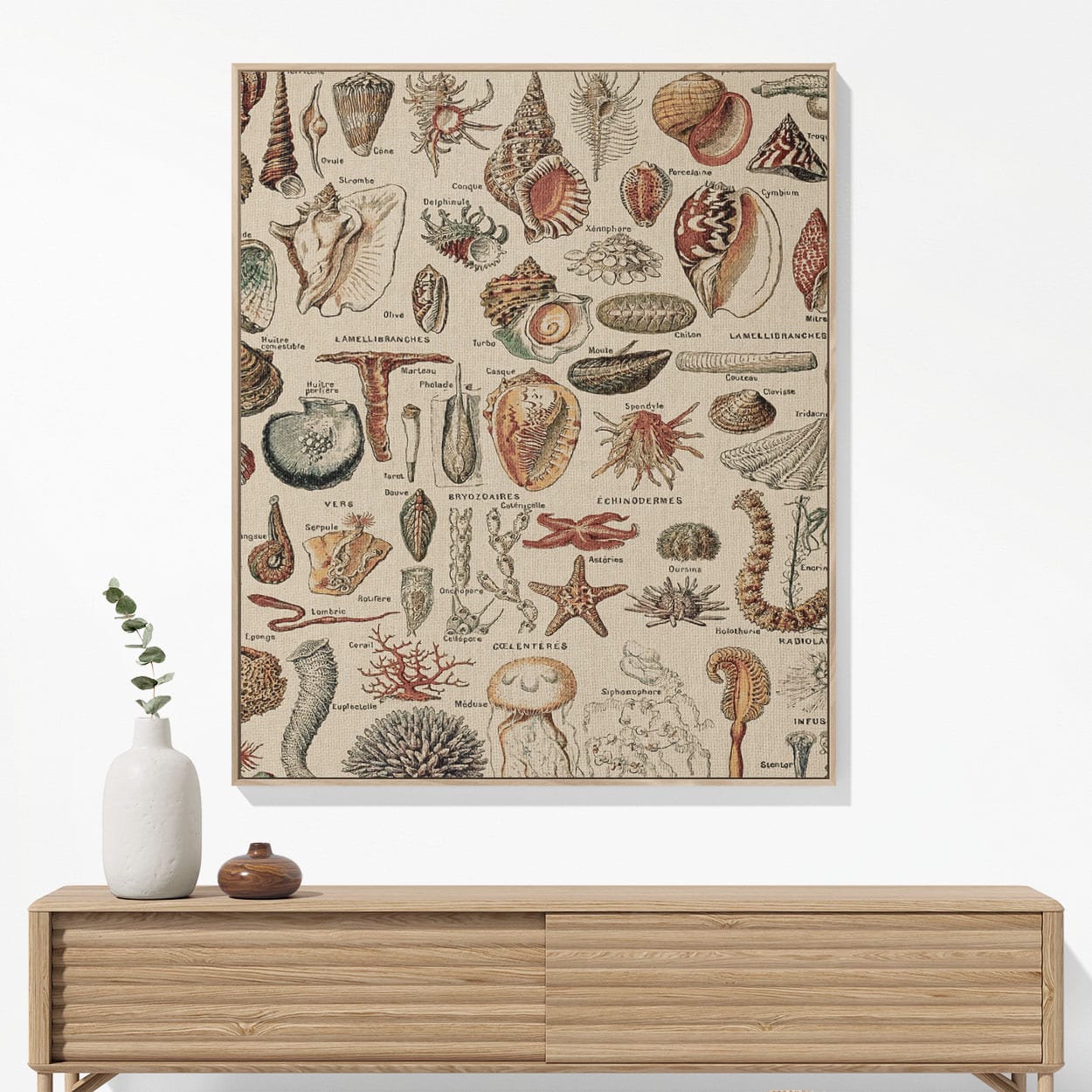 Seashells Woven Blanket Hanging on a Wall as Framed Wall Art