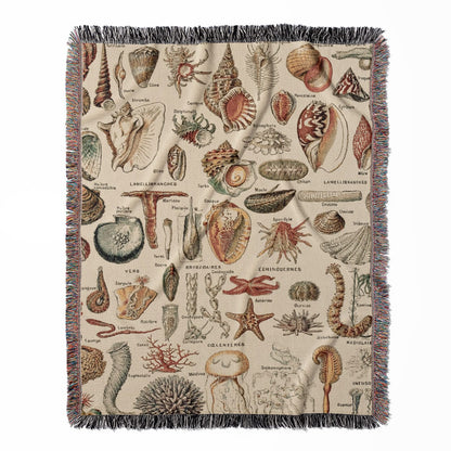 Seashells woven throw blanket, crafted from 100% cotton, offering a soft and cozy texture with an ocean and beach theme for home decor.
