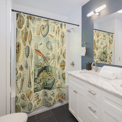 Seashells Shower Curtain Best Bathroom Decorating Ideas for Science Decor