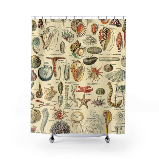 Seashells Shower Curtain with ocean and beach design, marine-themed bathroom decor showcasing beach and ocean themes.