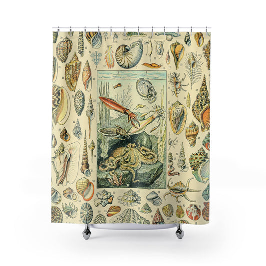 Seashells Shower Curtain with beach design, coastal bathroom decor featuring various seashell motifs.