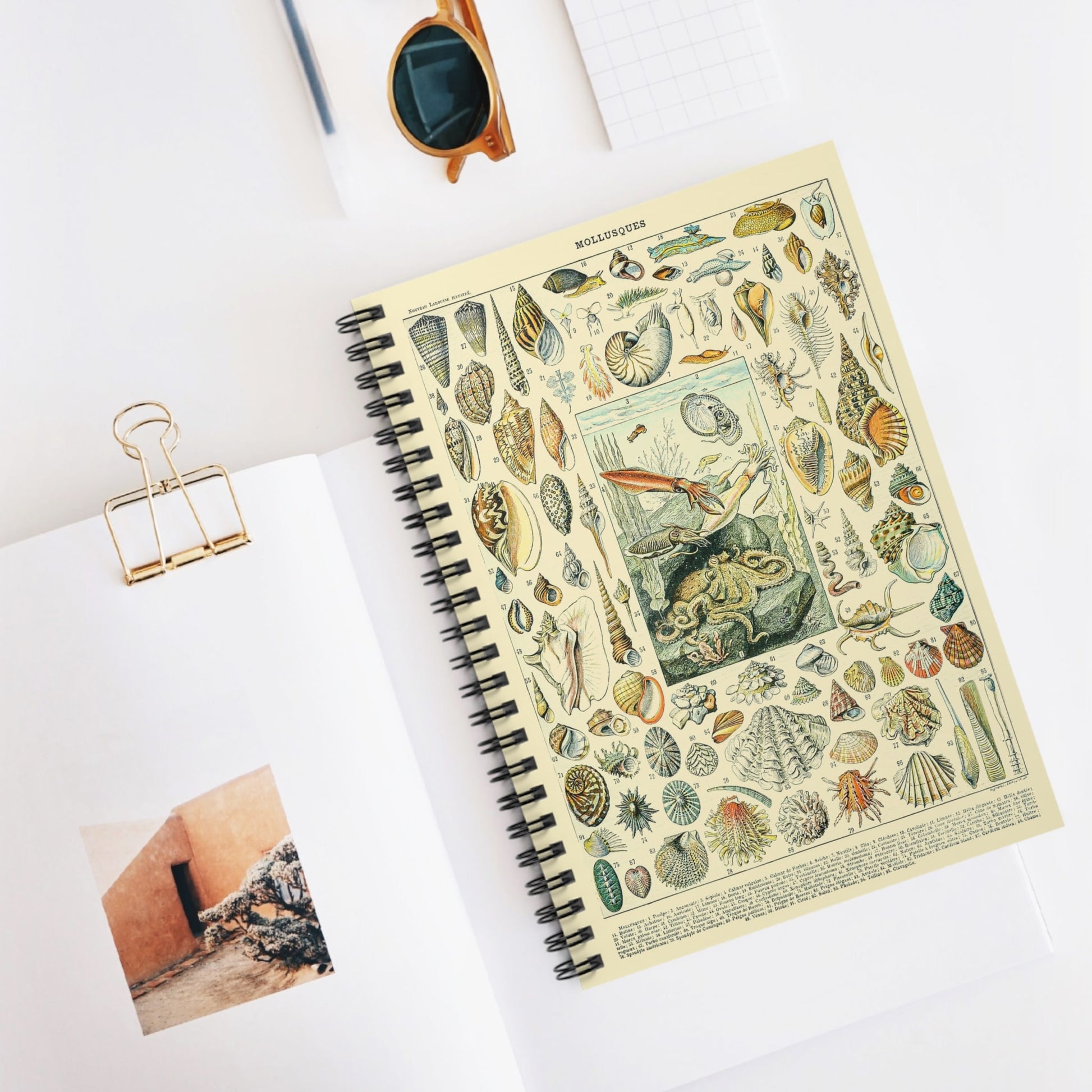 Seashells Spiral Notebook Displayed on Desk