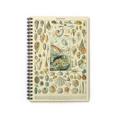 Seashells Notebook with Beach cover, great for journaling and planning, showcasing beautiful beach and seashell designs.
