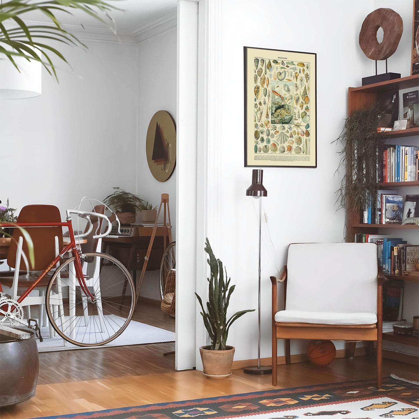Eclectic living room with a road bike, bookshelf and house plants that features framed artwork of a Ocean Life and Shells above a chair and lamp
