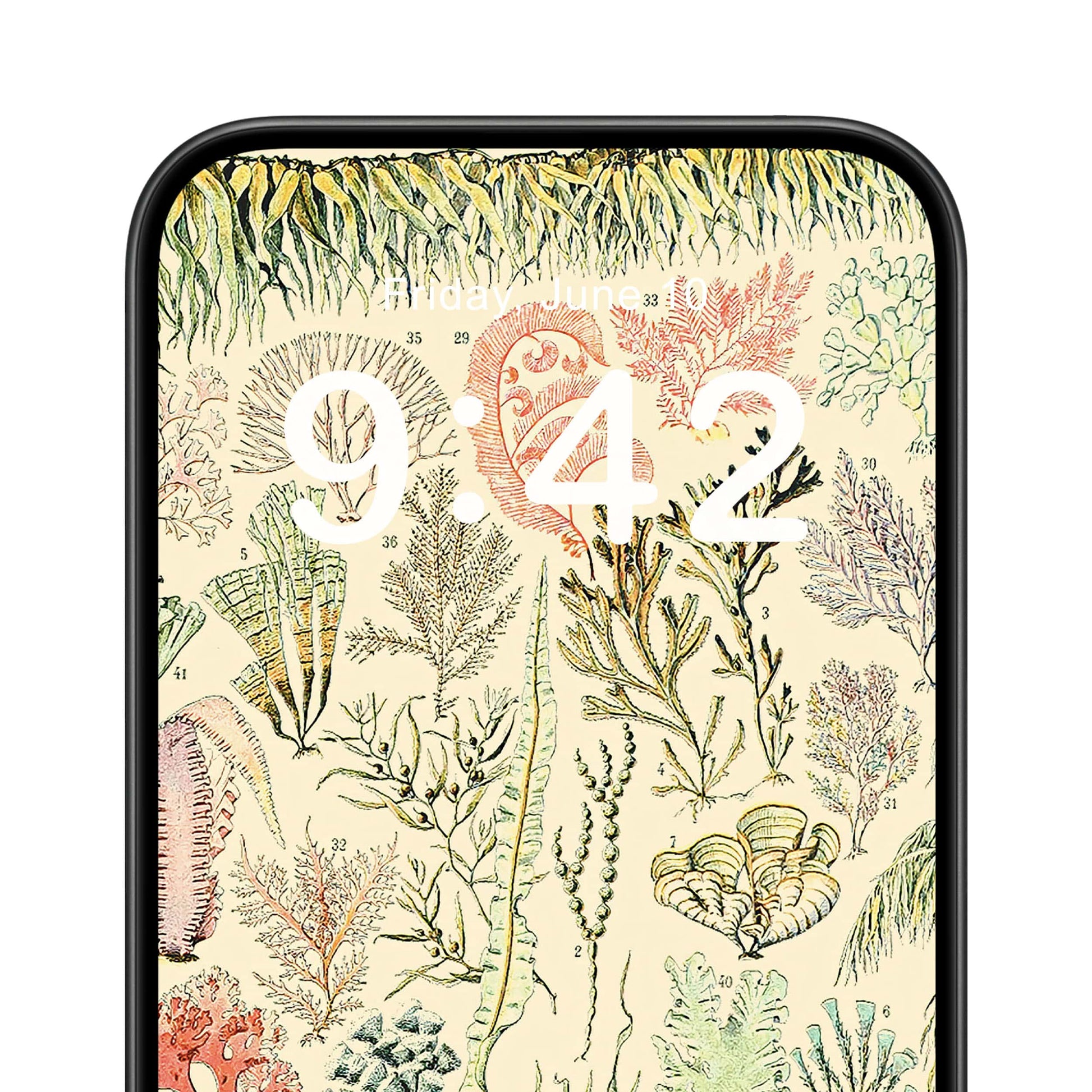 Seaweed Phone Wallpaper Close Up