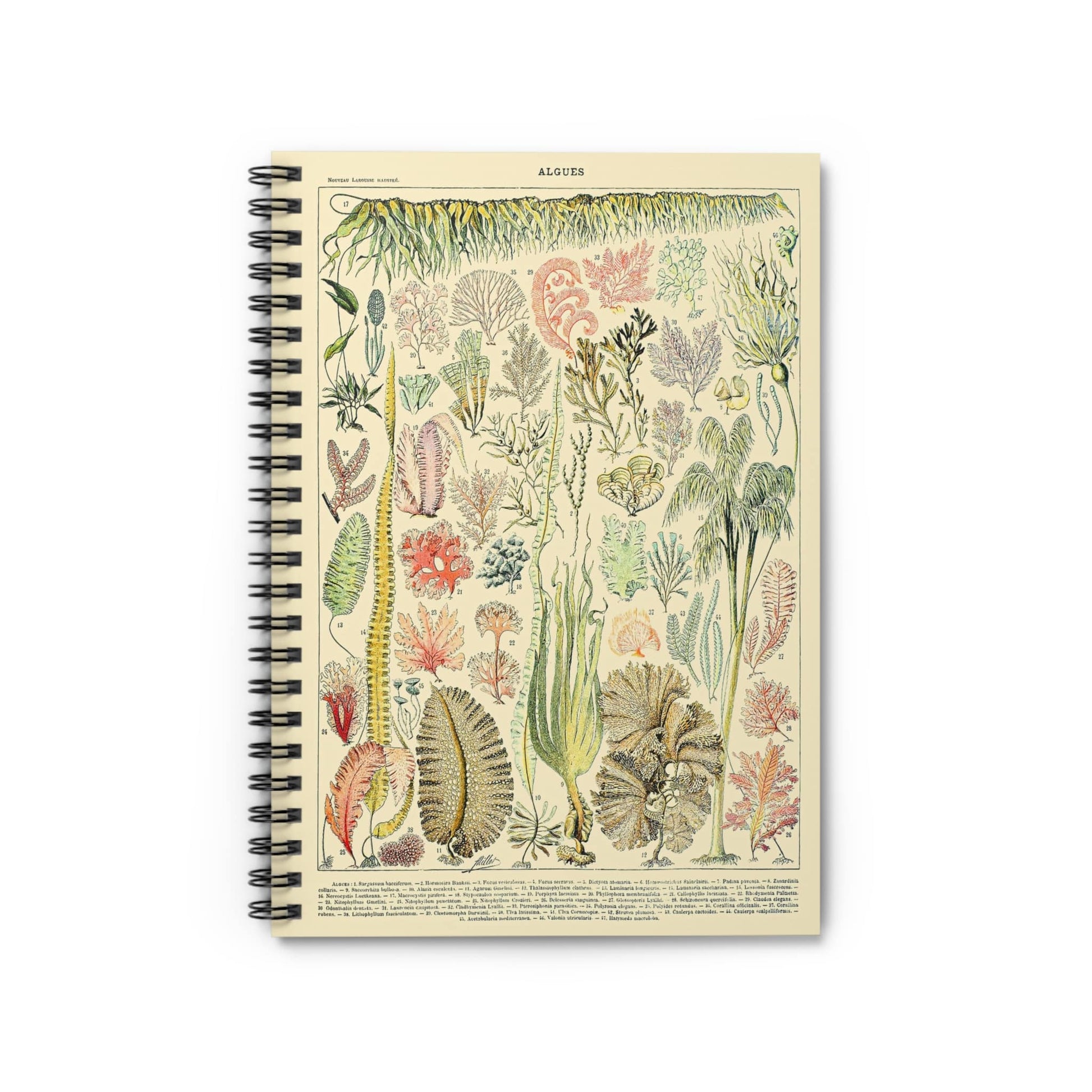 Seaweed Notebook with Ocean Plant Chart cover, ideal for journaling and planning, showcasing an ocean plant chart with seaweed.