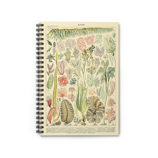 Seaweed Notebook with Ocean Plant Chart cover, ideal for journaling and planning, showcasing an ocean plant chart with seaweed.