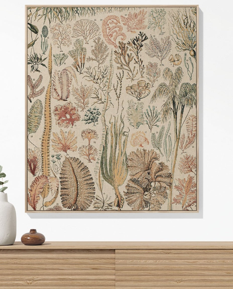 Seaweed woven throw blanket, crafted from 100% cotton, offering a soft and cozy texture with an ocean plant chart for home decor hanging on wall.