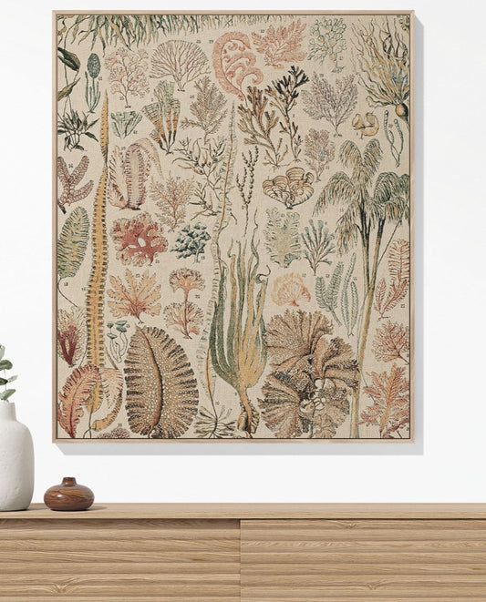 Seaweed woven throw blanket, crafted from 100% cotton, offering a soft and cozy texture with an ocean plant chart for home decor.
