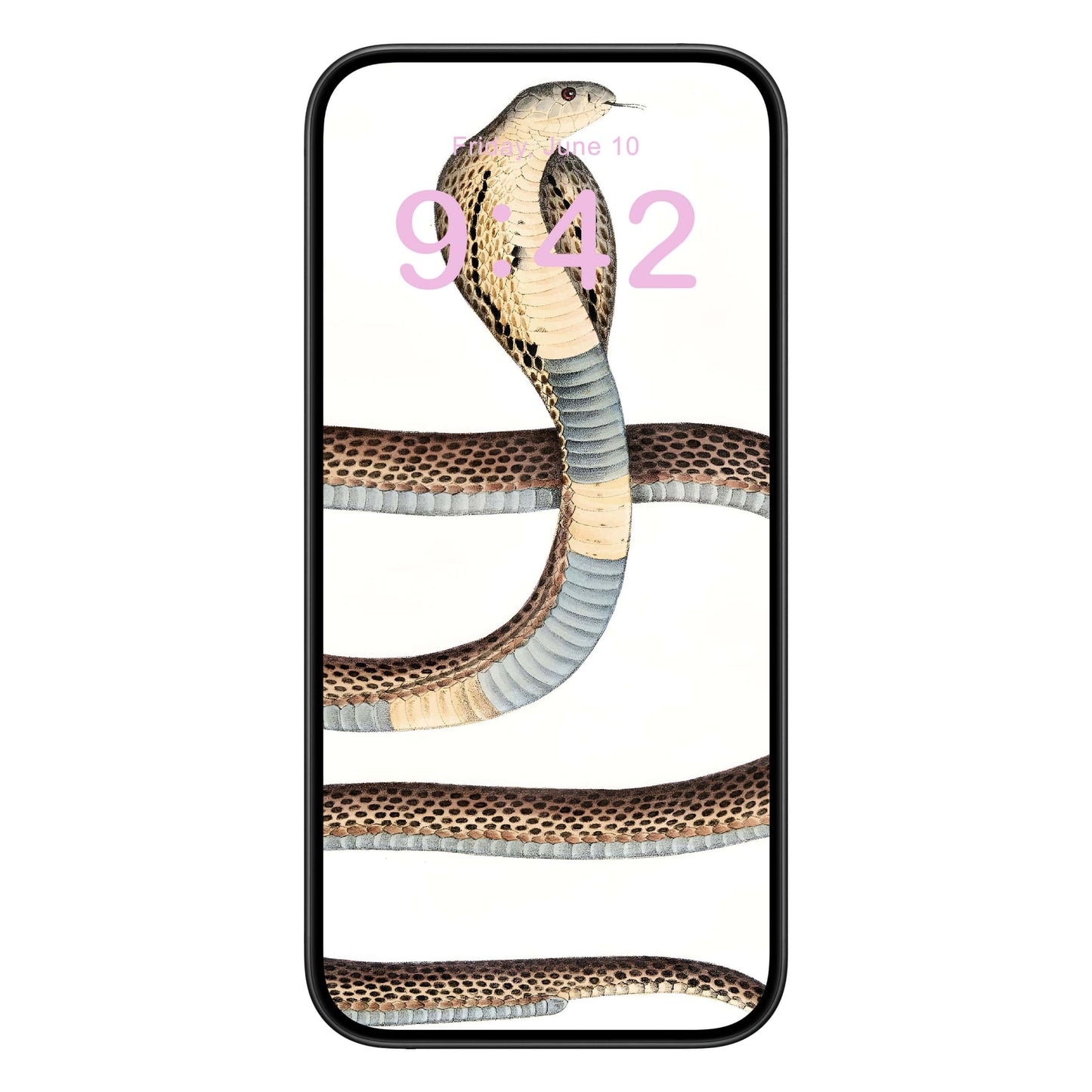 Snake Diagram Phone Wallpaper Pink Text