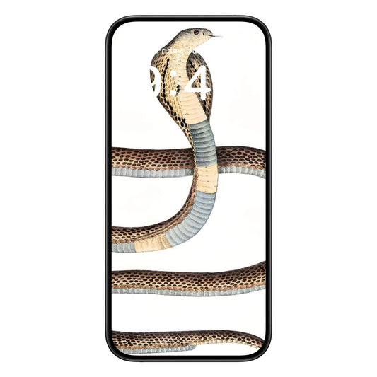 Snake Diagram phone wallpaper background with cool snake drawing design shown on a phone lock screen, instant download available.